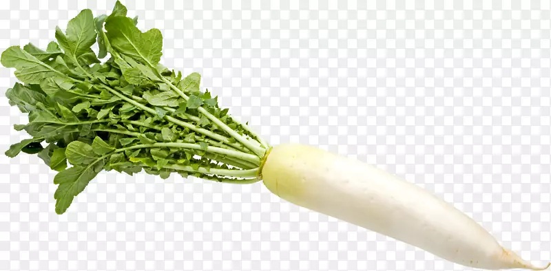 ����Ҷ�ˣ�̨���ˣ��ܲ�-�߲�-������