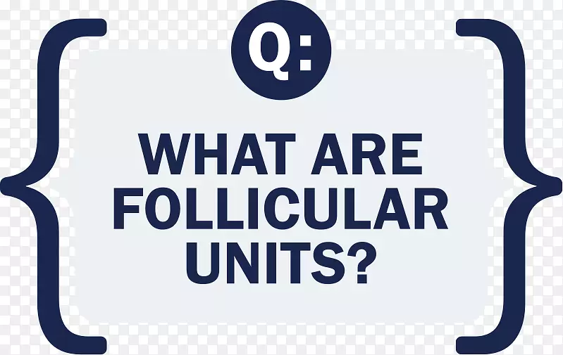 �̱���֯Ʒ�Ʋ�Ʒ����-������