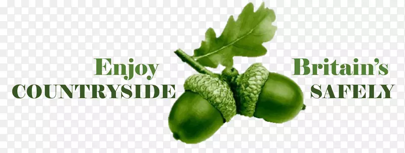 ��ɫ����ʳƷ����ʳƷ-������