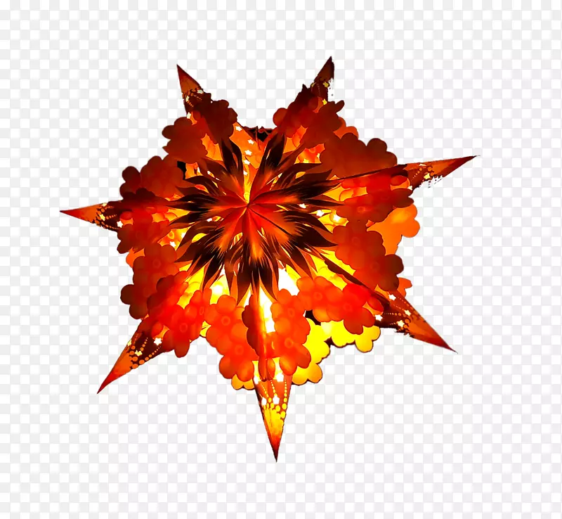 ��Ҷ�ԳƳ�ɫS.A.-������