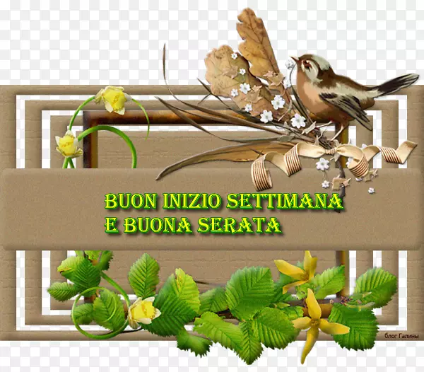 ������Ӱ��������-������