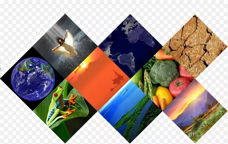 ������̬������ѧ���������-����-������