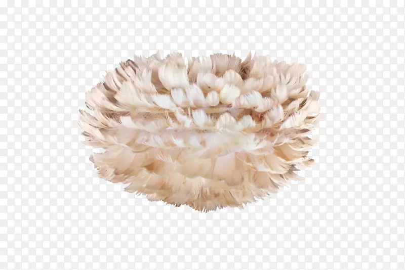 Vita�籾����eos�������ְ׳����.��-������