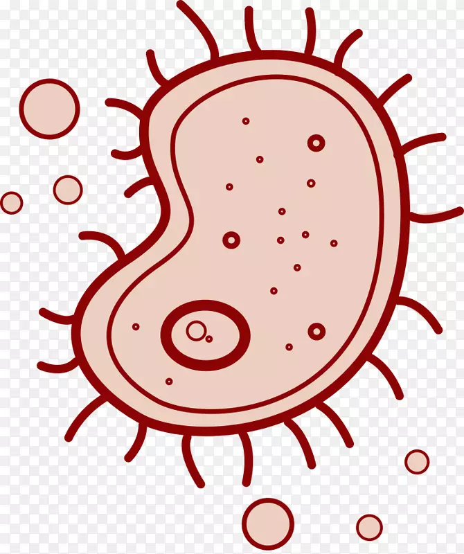 VSCO��־��Ӱ�ƶ�Ӧ�ó���-Android-������