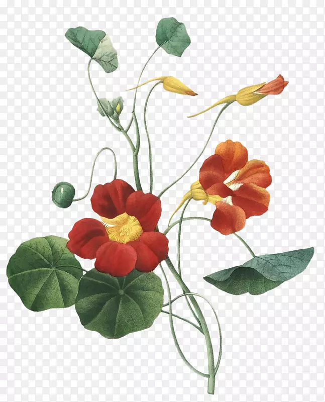 ԰��ֲ��廭���-�滭-������