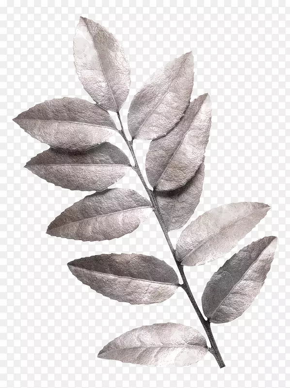 ��Ҷ-������