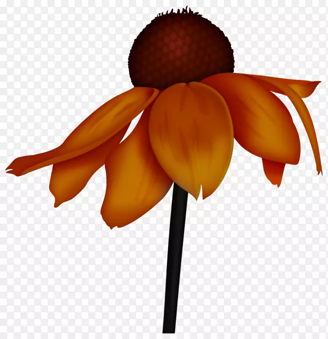 �л���ɫ��-������