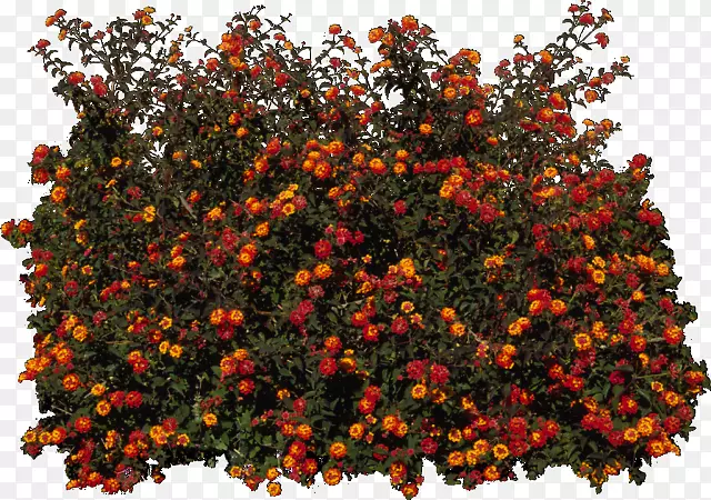 pngͼƬ��ľͼ���������gif-����-������