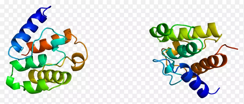 �����Ʒ�������ߴ�����-������