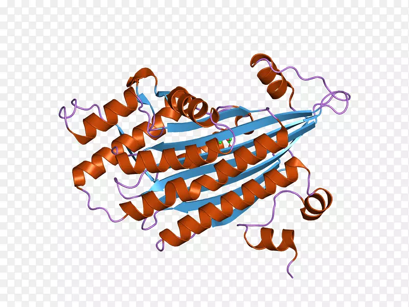 ��Ʒ��������ɫS.A.-������