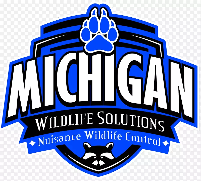 �̱��Ʒ����������-������