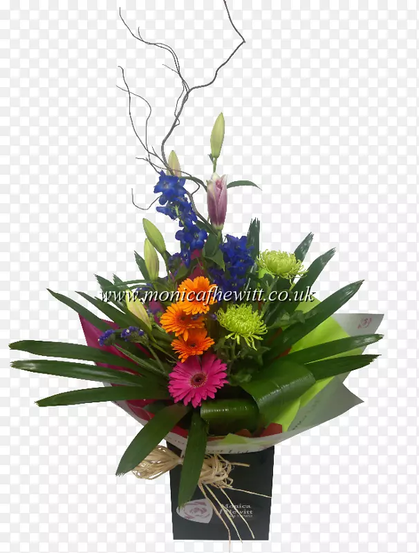 ��������л�����-������