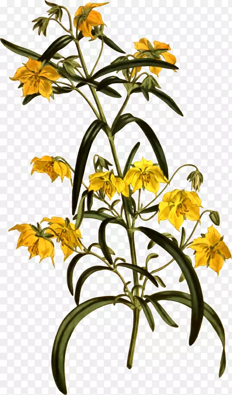 ������Ƽ�����-������