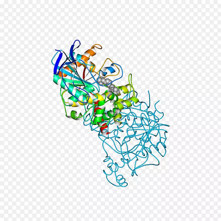 �廭�������߲�Ʒ��-ACL��ͼ-������