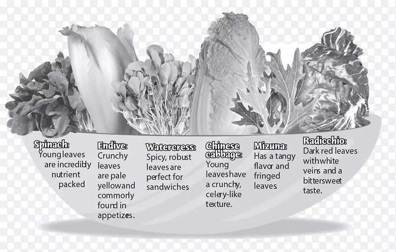 ��Բ���Ĳ�-������