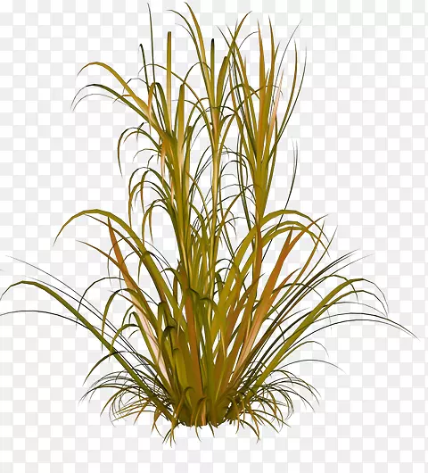 ������pngͼƬͼ��-������