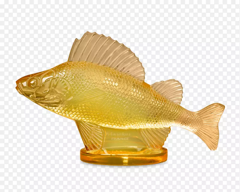 ñ��װ��Ʒ�����������Ŷ���-������