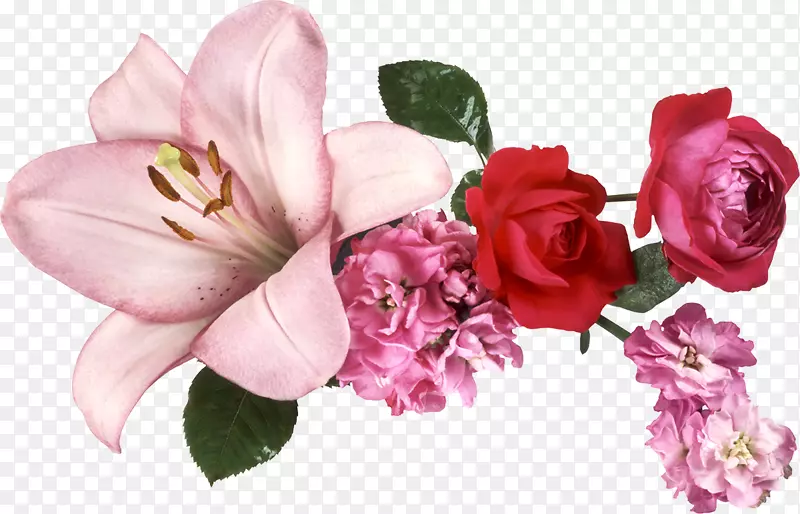 ���ܶ���������-����-������