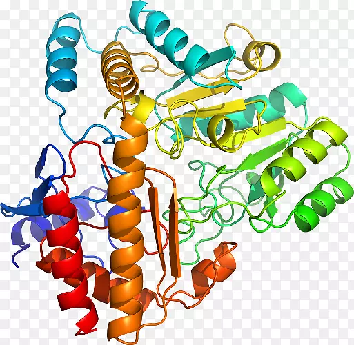 �������л�����������-�Ȱ���-5-��ȩ-������