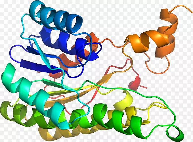 �������л�����������-������