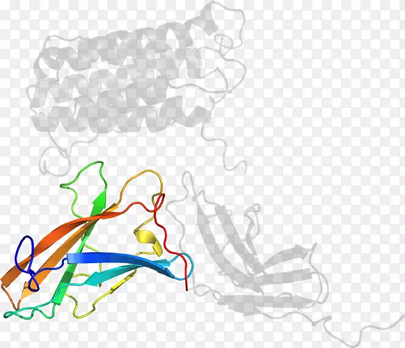 ��Ʒ�������ߵ�-������