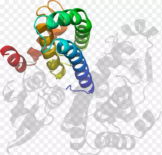 �޼�׵��������߶���-Ѫ�Ѳ�-������