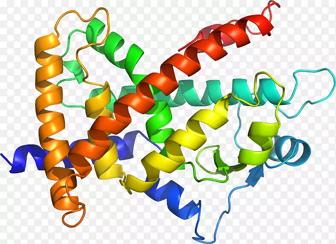 �������л�����������-������