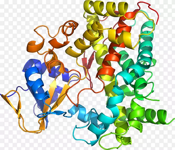 �������л�����������-������