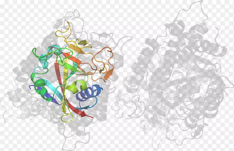 ��ͼ��������Ʒ��-������