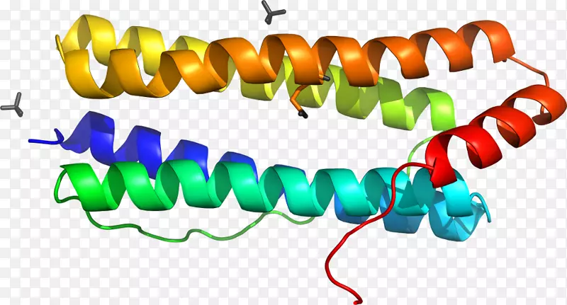 ���Ӽ����������鱦-������