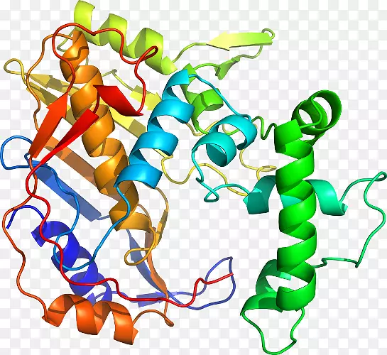 �������л����߶���-������