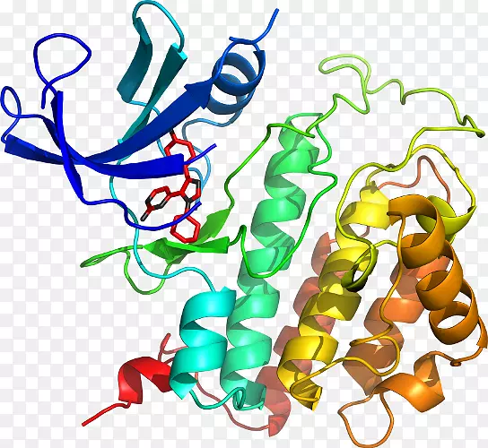 �������л����߶���-������