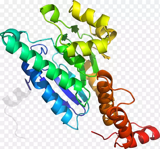 �������л�����������-������