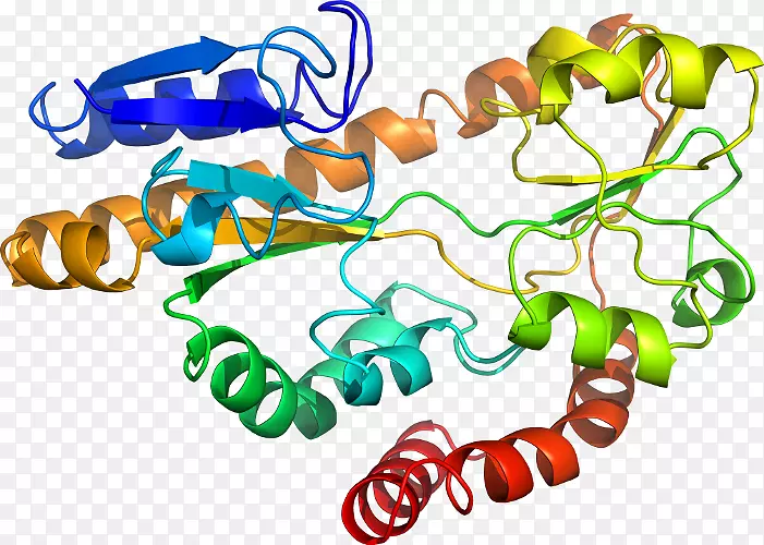 �������л�����������-������