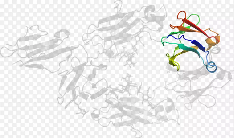 �廭������/m/02csf�߻�-������