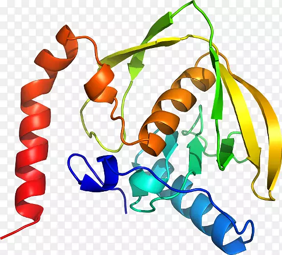 ������ʳƷ��Ʒֲ�ﾥ��-������