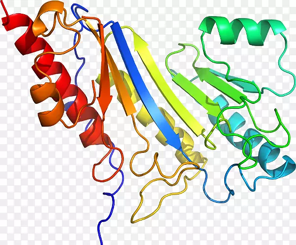 �������ߵ����ﶯ�������򵰰�m-������