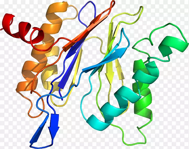 ��������ƽ����Ƶ��Ʒ-������