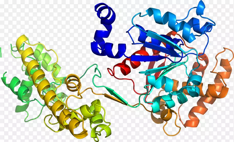 �������л���ϵ�в�Ʒ-������