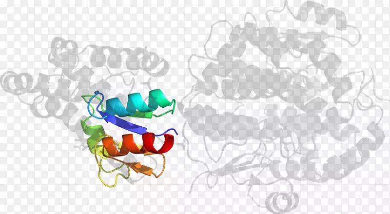 �����������ֽ��Ʒ�������ʯ-������