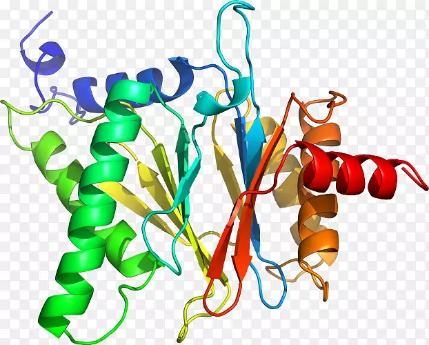 ������ʳƷֲ�ﾥ��-������