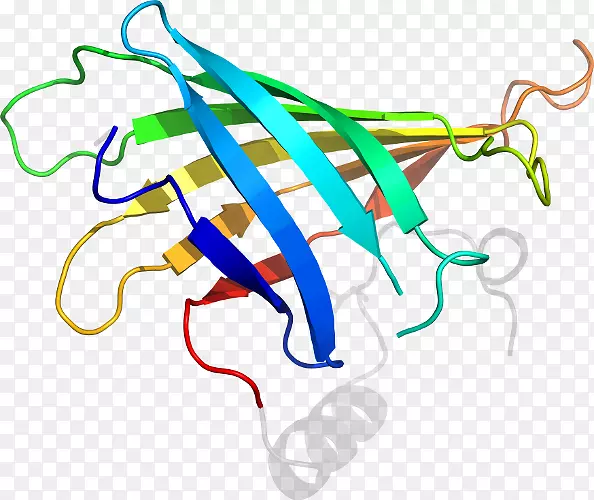 ��Ʒ��Ƽ������ߵ���ù��-������