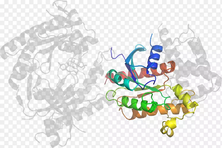 ��Ʒ��Ʋ�ͼ��������-������