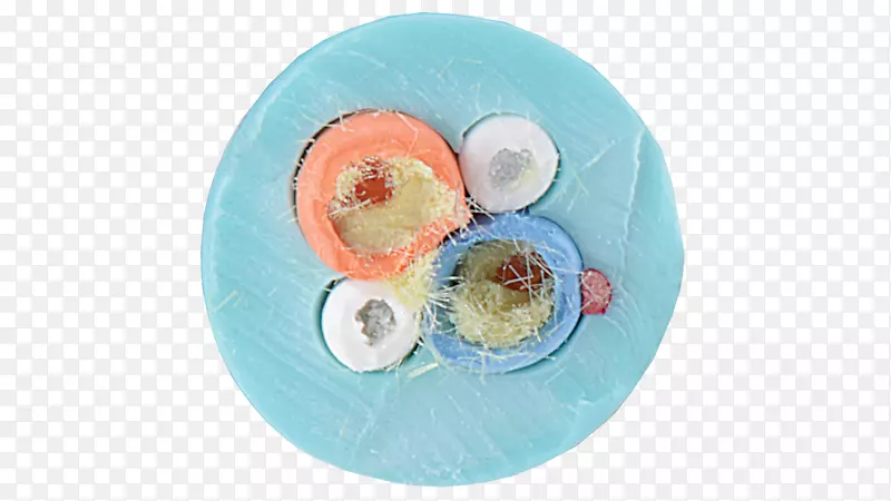 ��Ʒ���ϳ�ɫS.A.-������