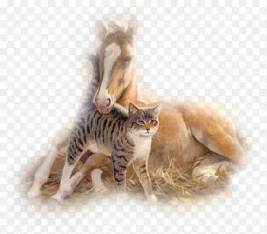 ͼ�������Ĳ���pngͼƬ.��-������