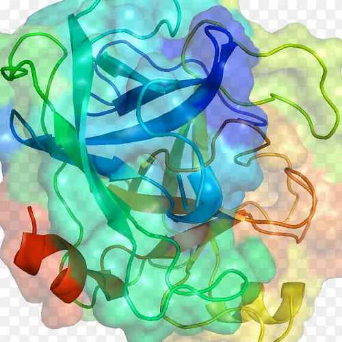 ���ָ�������͸����-������