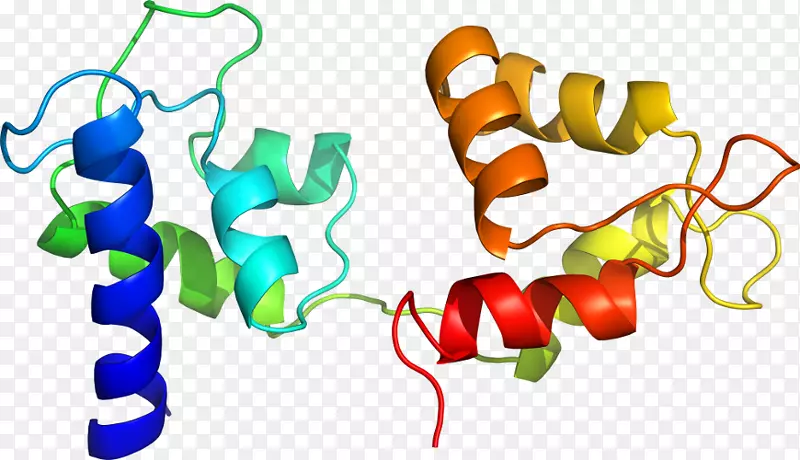 ��������Ʒ�л����߳�ɫS.A��-�����ȱ�-������