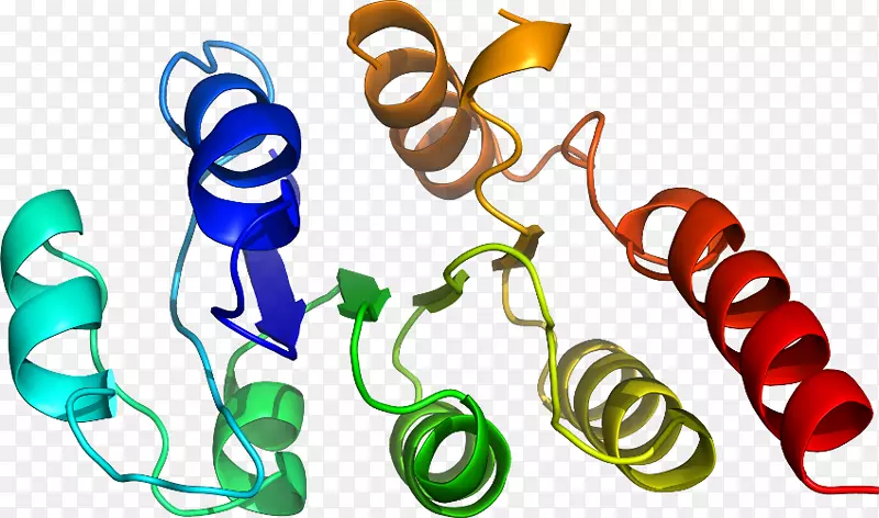 ��������Ʒ����л�����-������