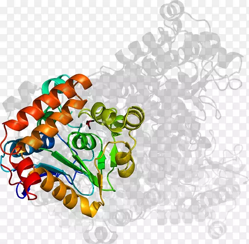 ������ͼ���Ʒ����-������