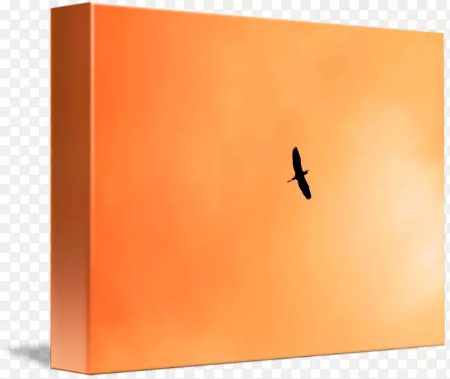 ��Ʒ���������-������